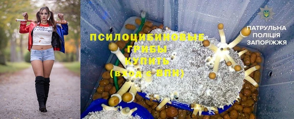 дмт Абаза