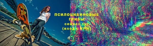 дмт Абаза