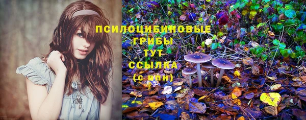 спайс Абдулино