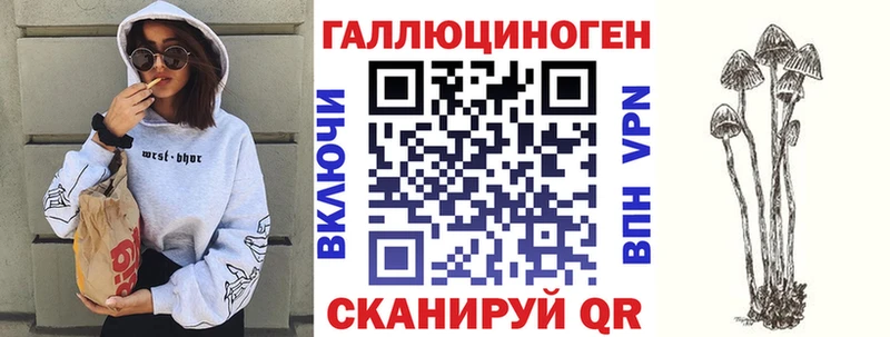 omg tor Пошехонье Псилоцибиновые грибы Psilocybe цены наркотик